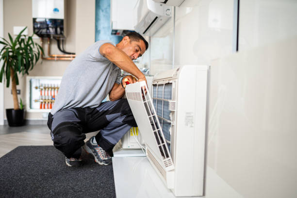Best Affordable Duct Cleaning Services  in Citrus Park, FL