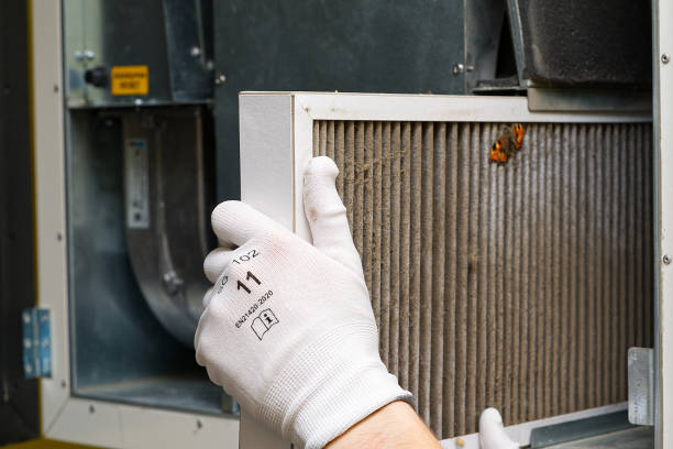 Best Duct Cleaning for Offices  in Citrus Park, FL