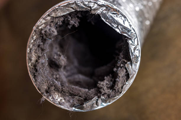Best Air Duct Cleaning Company Near Me  in Citrus Park, FL