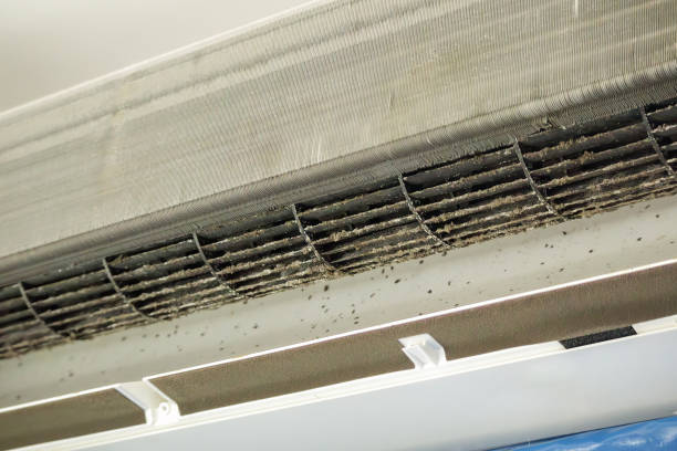 Best Air Duct Sanitizing Services  in Citrus Park, FL